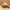 Raw & Ripe: Little Treasures - 6 Bon Bons